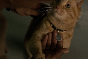 Still #16 forCaptain Marvel