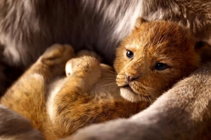 Still #5 forLion King, The